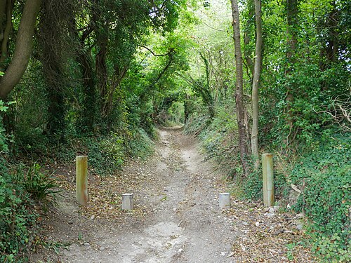 Pilgrims' Way
